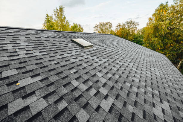 Roofing & Siding in Lakeway